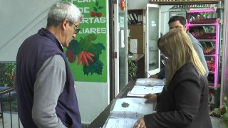 Maldonado Solidario: 3.500 packs de semillas se distribuyen en el marco del Plan de Huertas Familiares