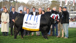 Lacalle Pou, Expo Prado, premiaciones, cocardas, gran campeon, gran campeona, Aberdeen Angus, Hereford, cabaña Campo Norte, establecimiento Las Marias, MGAP, ARU, Mal Green