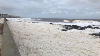 CECOED en alerta ante posible llegada del temporal de Santa Rosa