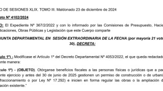 Decreto 4102/2024