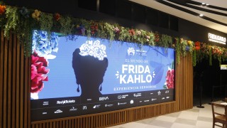 Permanecerá hasta el 9 de marzo "El mundo de Frida Kahlo"