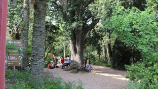 Arte, danza, música y espectáculos para disfrutar en el Arboretum Lussich