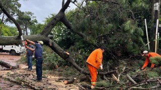 Cuadrillas municipales trabajan en puesta a punto tras el viento intenso