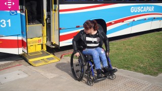 IDM, boleto, pases libres, dificultades movilidad, discapacidad, transito, transporte, politicas inclusivas, Antia, maldonado accesible
