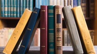 suelta de libros, Piriapolis