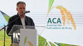 Orsi: inversiones en investigación y riego son pilares para el desarrollo de producción arrocera
