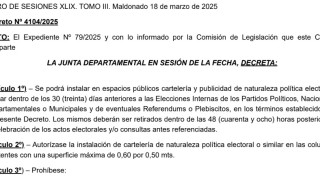 Decreto 4104/2025: instalación de cartelería política y publicidad política electoral
