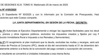 Decreto 4105/2025