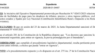 Resolución IDM 03144/2025: promulga Decreto de régimen de facilidades de pago para deudores de tributos
