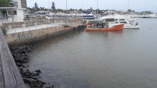 Disminuyó la concentración de dinoflagelados en el puerto de Punta del Este
