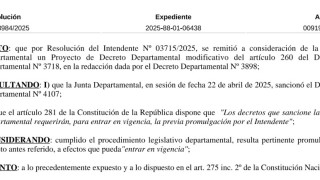 Resolucion 3984/2025