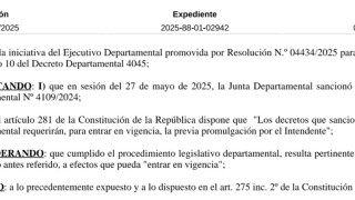 Resolucion 04870/2025