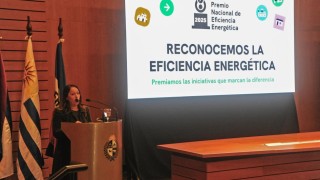 ministerio Industria, MIEM, Fernanda Cardona, premio eficiencia energetica, energia, eficiencia energetica, procesos de gestion, matriz energetica, Alejandra Spinelli