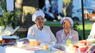 IDM, Antia, cursos municipales, oficios, inversion, administracion Antia, integracion social