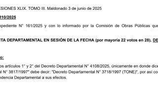 Decreto 4110/2025