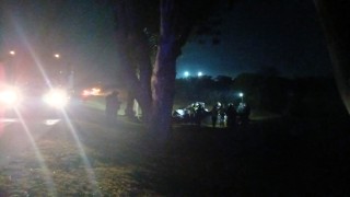 Falleció conductor que chocó contra un árbol