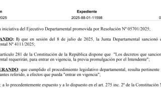 Resolución IDM 06014/2025: promulga Decreto 4111/2025 (funcionarios Artículo 30)