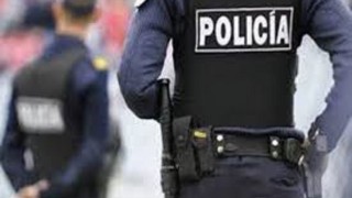 Libertad a prueba para individuo que robó postes de madera