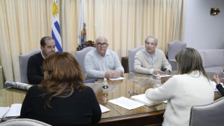 IDM, Miguel Abella, ministerio Vivienda, MVOT, Tamara Paseyro, Alejandro Lussich, Los Eucaliptus