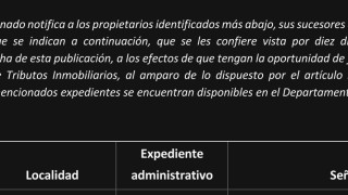 IDM confiere vista: tributos inmobiliarios