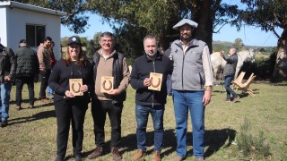 Trabajo conjunto con el foco puesto en salvar vidas y crear santuarios para caballos