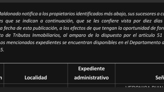 IDM: Vista de Tributos Inmobiliarios