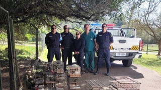 IDM, ECFA, aves nativas, liberacion