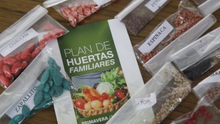 IDM, Huertas Familiares, plan huertas, Miguel Plada, Magdalena Zumaran