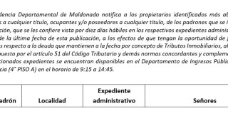 IDM confiere vista: tributos inmobiliarios