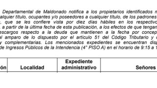 IDM, vista, tributos domiciliarios