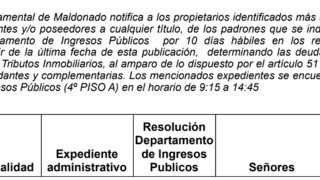 IDM, tributos, tributos inmobiliarios, vista, ingresos publicos, resolucion