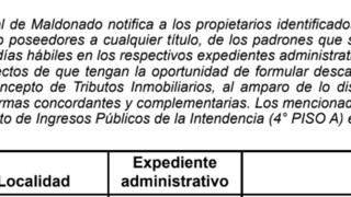 IDM: Vista de Tributos Inmobiliarios (E185/ 25T)
