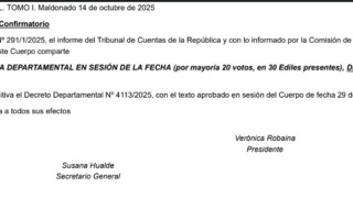 Decreto 4113/2025 confirmatorio