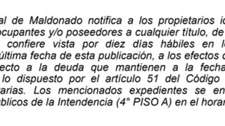 Vista Tributos Inmobiliarios (E187/32T)