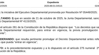 Resolución IDM 0985/2025: se promulga Decreto 4115/2025 (modificaciones al funcionamiento de transporte entre privados mediante plataformas digitales)