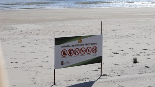 A tres semanas del nacimiento de Francisco, piden "último esfuerzo" y exhortan a mantener distancia