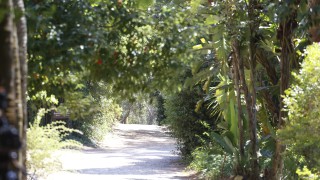 Encontraron restos óseos en sendero de Arboretum Lussich