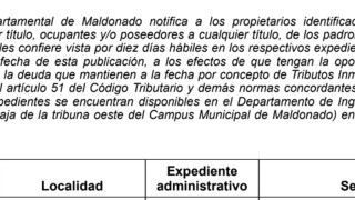 IDM: Vista Tributos Inmobiliarios (E191/ 27T + 1 PH)