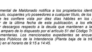 IDM: Vista Tributos Inmobiliarios (E193/ 26t)