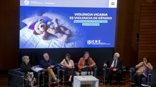 Violencia, dia internacional, eliminacion, INMUJERES, Monica Xavier, violencia vicaria,