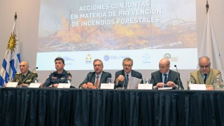 Gobierno presentó acciones para la prevención de incendios forestales: comienza a regir el "decreto del fuego"