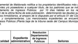IDM: Resoluciones Inmobiliarias (ER199/29t)