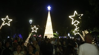 Maldonado: "vida al centro con encendido de árbol y apertura de la peatonal"