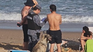Prefectura, Sebastian Sorribas, La Pastora, disturbios, muelle La Pastora, seguridad, controles, playas, temporada, verano, perros, notificaciones