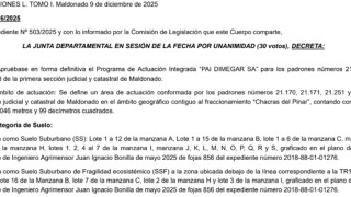 Decreto 4116/2025: aprobación definitiva del PAI DIMEGAR SA