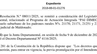 Resolución IDM 11809/2025: promulga Decreto 4116/2025 (PAI DIMEGAR SA)