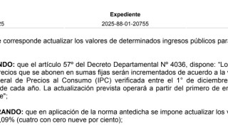 Resolución IDM 11909/2025: tasa de división, reparcelamiento, fraccionamiento y refraccionamiento de bienes inmuebles