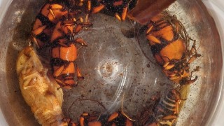 Picudo rojo: Maldonado refuerza la ofensiva sanitaria y prohíbe el ingreso de palmeras al departamento