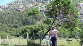 Calor extremo y riesgo de incendios: cierran el ascenso al Cerro Pan de Azúcar hasta nuevo aviso