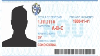 UNASEV, Marcelo Metediera, libreta por puntos, movilidad, transito, licencia de conducir, intendencias, Congreso de Intendentes, permiso por puntos, PUNCP